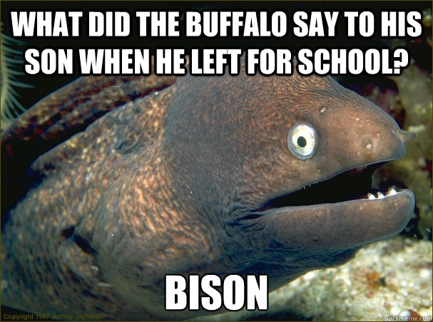 What did the buffalo say to his son when he left for school? Bison - What did the buffalo say to his son when he left for school? Bison  Bad Joke Eel