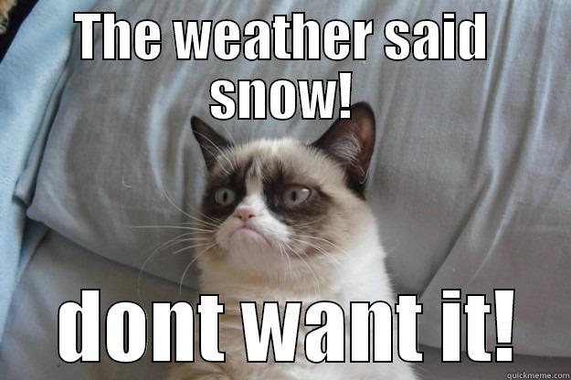 THE WEATHER SAID SNOW!  DONT WANT IT! Grumpy Cat