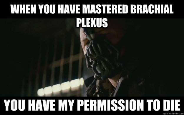 When you have mastered brachial plexus You have my permission to die  Badass Bane