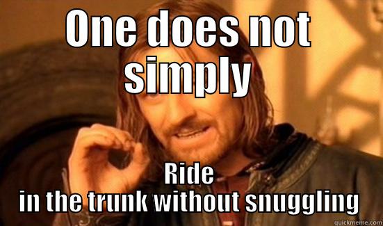 ONE DOES NOT SIMPLY RIDE IN THE TRUNK WITHOUT SNUGGLING Boromir