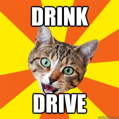 drink drive  Bad Advice Cat