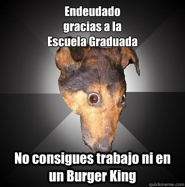 Endeudado
gracias a la
Escuela Graduada No consigues trabajo ni en un Burger King  Depression Dog