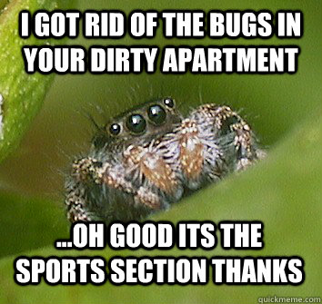 I got rid of the bugs in your dirty apartment ...oh good its the sports section thanks  Misunderstood Spider