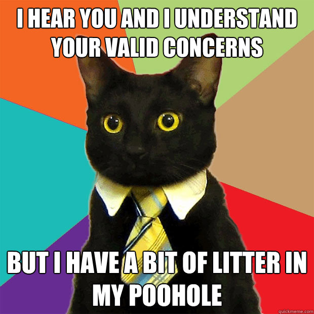 i hear you and i understand your valid concerns but i have a bit of litter in my poohole  Business Cat