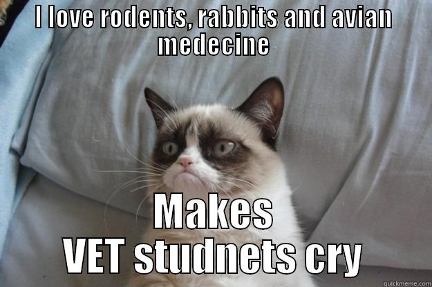 I LOVE RODENTS, RABBITS AND AVIAN MEDECINE MAKES VET STUDNETS CRY Grumpy Cat