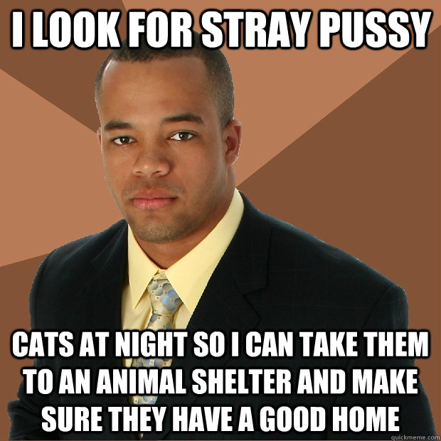 I LOOK FOR STRAY PUSSY CATS AT NIGHT SO I CAN TAKE THEM TO AN ANIMAL SHELTER AND MAKE SURE THEY HAVE A GOOD HOME  