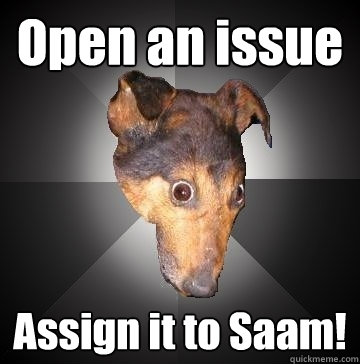 Open an issue Assign it to Saam!  Depression Dog