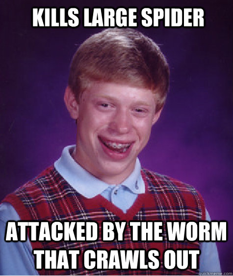 kills large spider attacked by the worm that crawls out - kills large spider attacked by the worm that crawls out  Bad Luck Brian