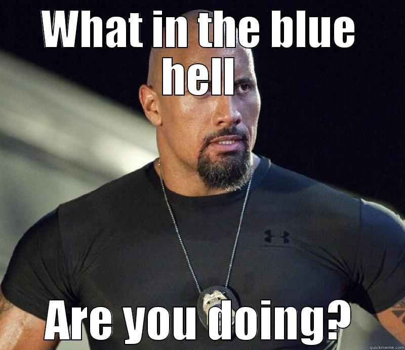 The Rock Funny Meme - WHAT IN THE BLUE HELL ARE YOU DOING? Misc