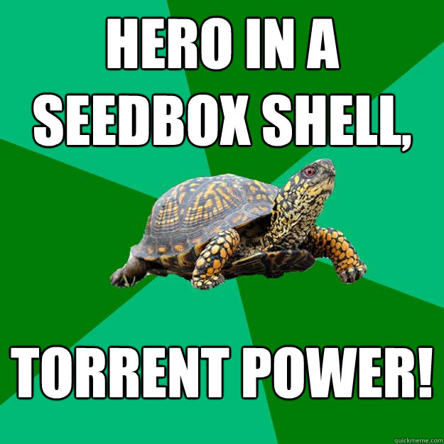 HERO IN A SEEDBOX SHEll, TORRENT POWER!  Torrenting Turtle