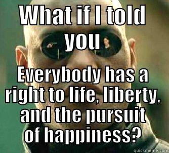 WHAT IF I TOLD YOU EVERYBODY HAS A RIGHT TO LIFE, LIBERTY, AND THE PURSUIT OF HAPPINESS? Matrix Morpheus