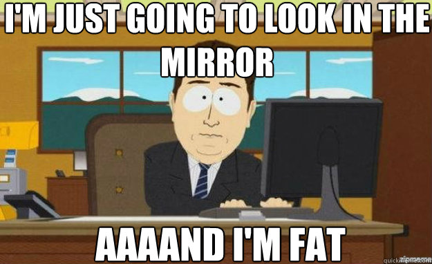 I'm just going to look in the mirror AAAAND I'm fat  aaaand its gone