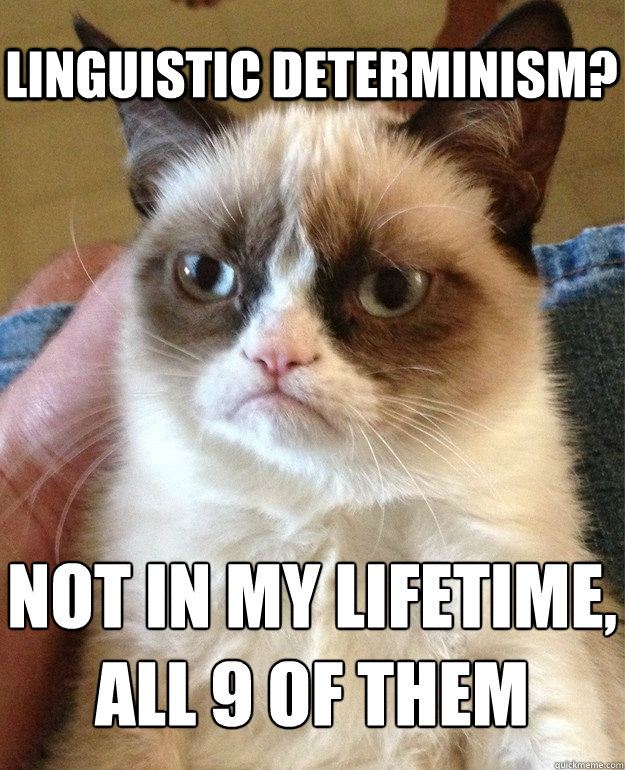 Linguistic Determinism? Not in my lifetime,
all 9 of them  Grumpy Cat