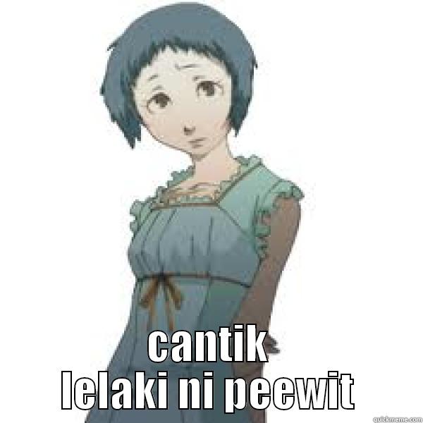  CANTIK LELAKI NI PEEWIT Misc