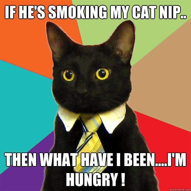 if he's smoking my cat nip.. then what have i been....i'm hungry !  Business Cat