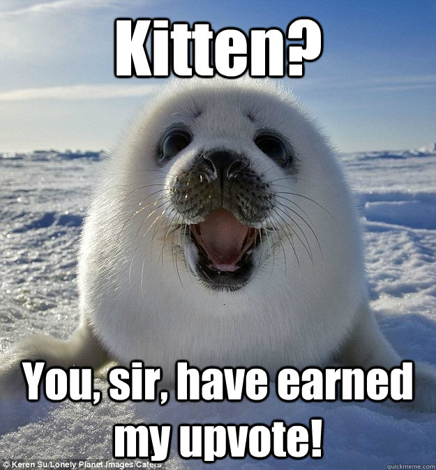 Kitten? You, sir, have earned my upvote! - Kitten? You, sir, have earned my upvote!  Easily Pleased Seal