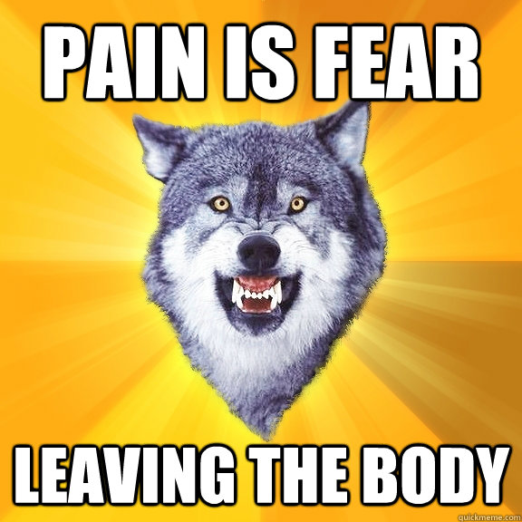 pain is fear leaving the body  Courage Wolf