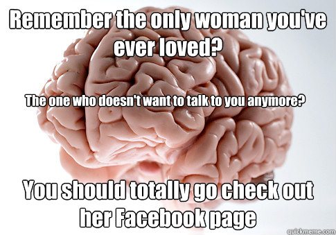 Remember the only woman you've ever loved? You should totally go check out her Facebook page 


The one who doesn't want to talk to you anymore?  Scumbag Brain