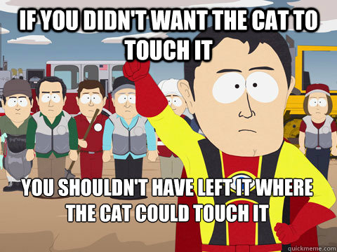 If you didn't want the cat to touch it You shouldn't have left it where the cat could touch it - If you didn't want the cat to touch it You shouldn't have left it where the cat could touch it  Captain Hindsight