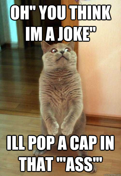 OH'' YOU THINK IM A JOKE'' ILL POP A CAP IN THAT '''ASS'''  Horrorcat