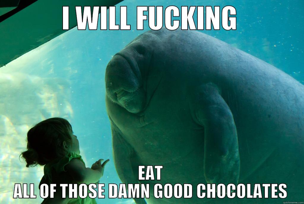 I WILL FUCKING EAT ALL OF THOSE DAMN GOOD CHOCOLATES Overlord Manatee