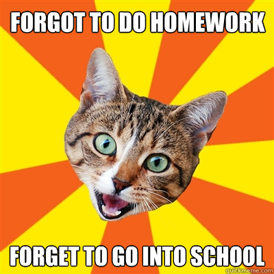 forgot to do homework forget to go into school  Bad Advice Cat