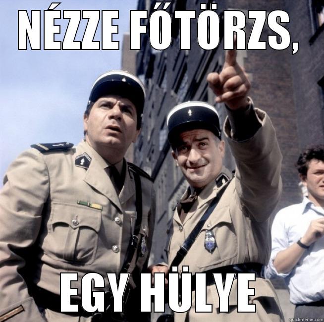 NÉZZE FŐTÖRZS, EGY HÜLYE Misc