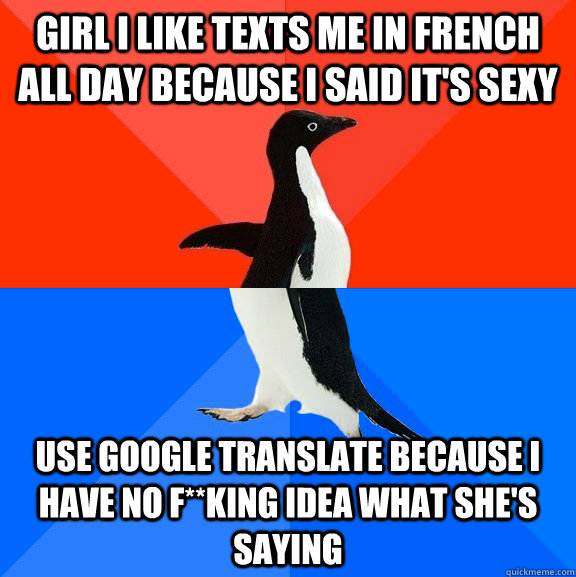 girl i like texts me in french all day because i said it's sexy use google translate because i have no f**king idea what she's saying  Socially Awesome Awkward Penguin