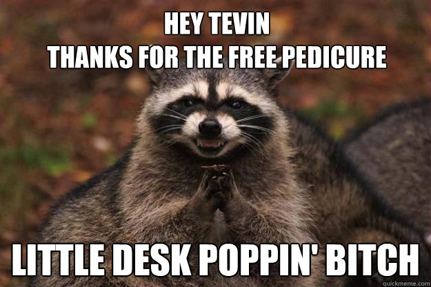 Hey Tevin 
thanks for the free pedicure  little desk poppin' bitch - Hey Tevin 
thanks for the free pedicure  little desk poppin' bitch  Evil Plotting Raccoon