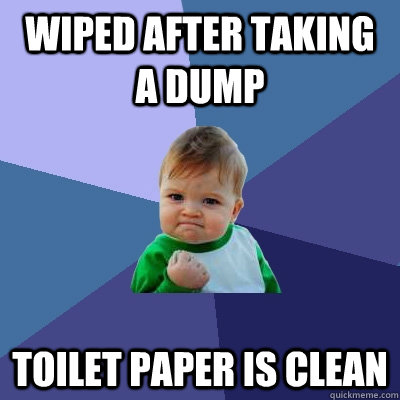 Wiped After taking a dump toilet paper is clean  Success Kid