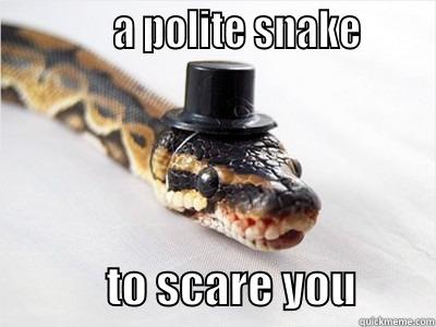             A POLITE SNAKE                    TO SCARE YOU         Misc