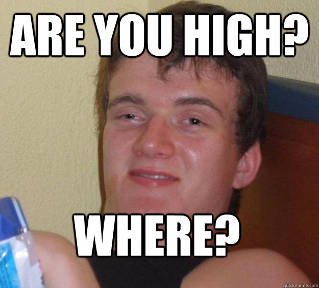 Are you high? Where? - Are you high? Where?  10 Guy