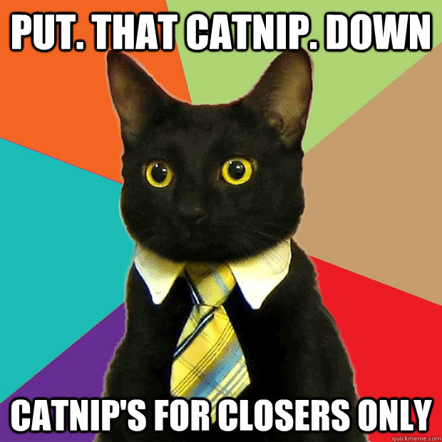 Put. That catnip. Down Catnip's for closers only  Business Cat