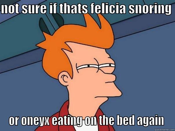 NOT SURE IF THATS FELICIA SNORING  OR ONEYX EATING ON THE BED AGAIN Futurama Fry