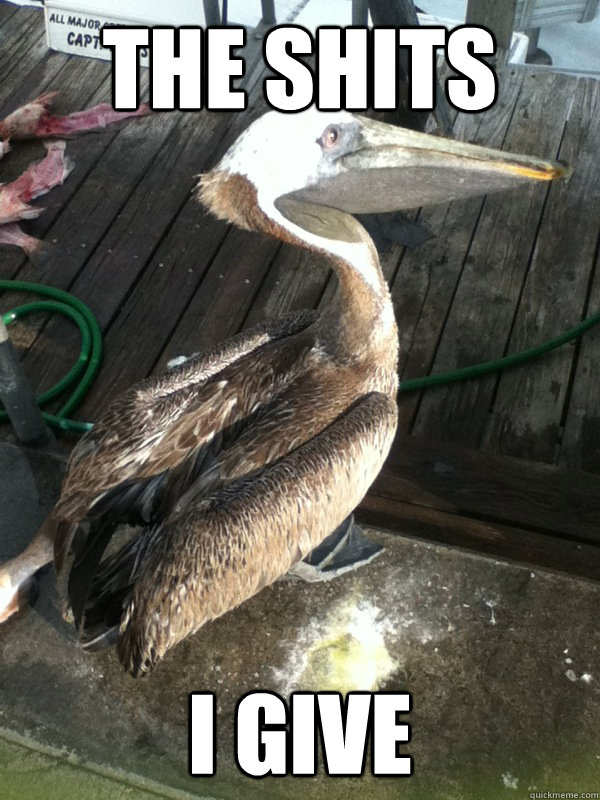 The shits i give  give a shit pelican