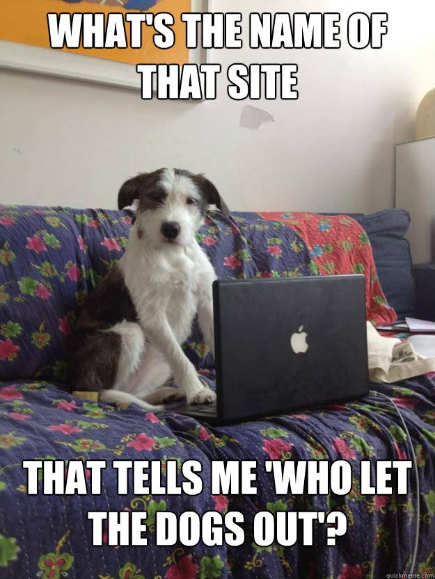 what's the name of that site that tells me 'who let the dogs out'? - what's the name of that site that tells me 'who let the dogs out'?  Emailing dog