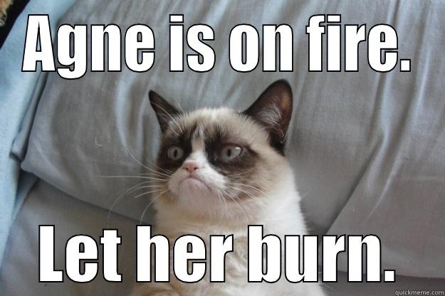 AGNE IS ON FIRE. LET HER BURN. Grumpy Cat