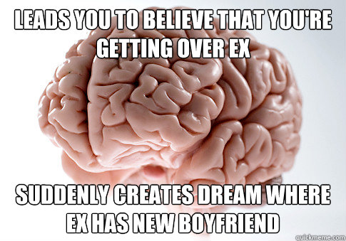 Leads you to believe that you're getting over ex suddenly creates dream where ex has new boyfriend  Scumbag Brain