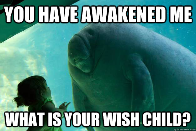 you have awakened me what is your wish child? - you have awakened me what is your wish child?  Overlord Manatee