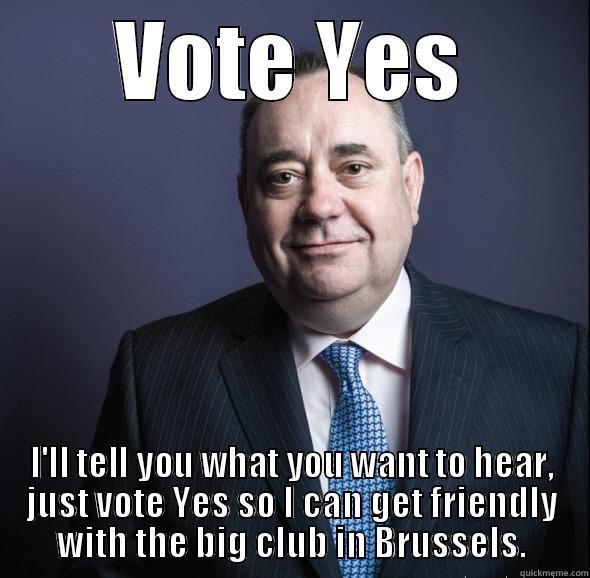 VOTE YES I'LL TELL YOU WHAT YOU WANT TO HEAR, JUST VOTE YES SO I CAN GET FRIENDLY WITH THE BIG CLUB IN BRUSSELS. Misc