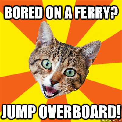 bored on a ferry? jump overboard!  Bad Advice Cat