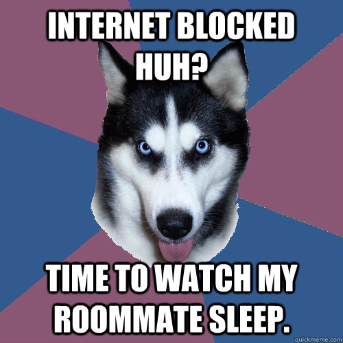 Internet blocked huh? Time to watch my roommate sleep. - Internet blocked huh? Time to watch my roommate sleep.  Creeper Canine