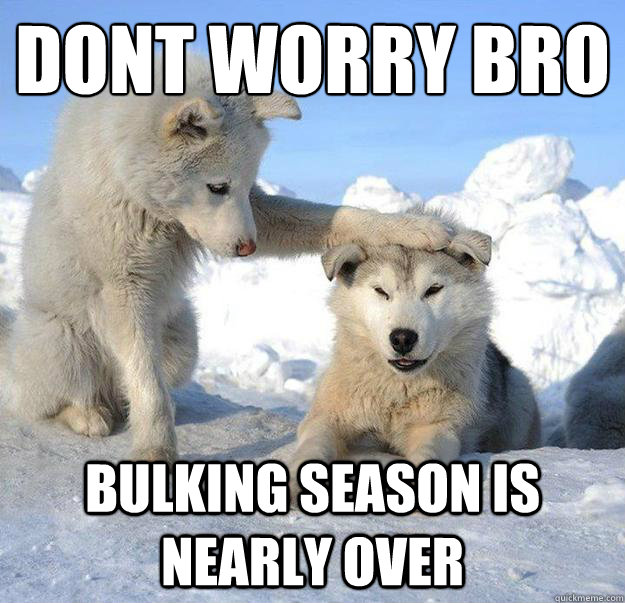 dont worry bro
 bulking season is nearly over  Caring Husky