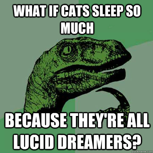 What if cats sleep so much because they're all lucid dreamers? - What if cats sleep so much because they're all lucid dreamers?  Philosoraptor