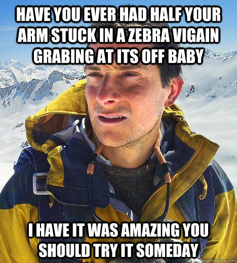 have you ever had half your arm stuck in a zebra vigain grabing at its off baby I have it was amazing you should try it someday  Bear Grylls