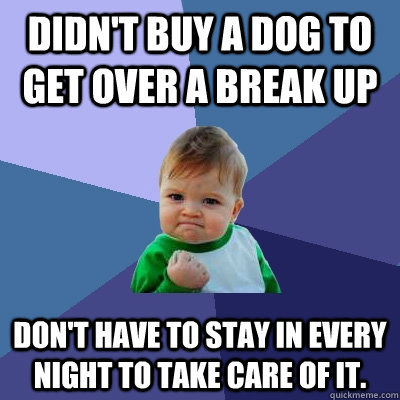 Didn't buy a dog to get over a break up Don't have to stay in every night to take care of it.  Success Kid