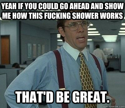 Yeah if you could go ahead and show me how this fucking shower works That'd be great.  Bill lumberg