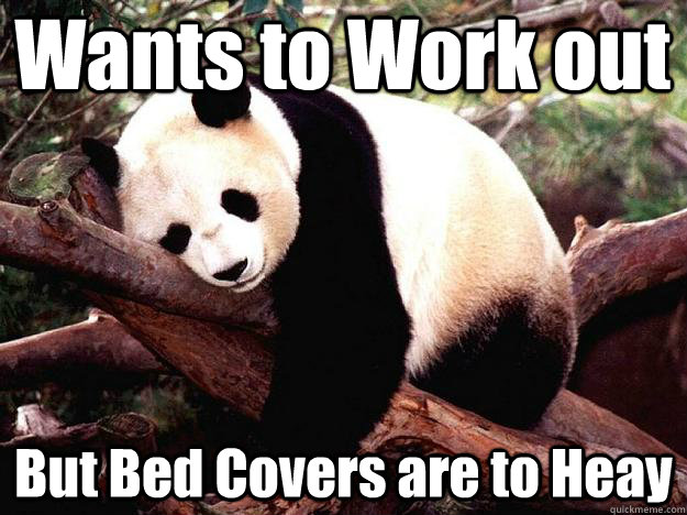 Wants to Work out  But Bed Covers are to Heay  Procrastination Panda