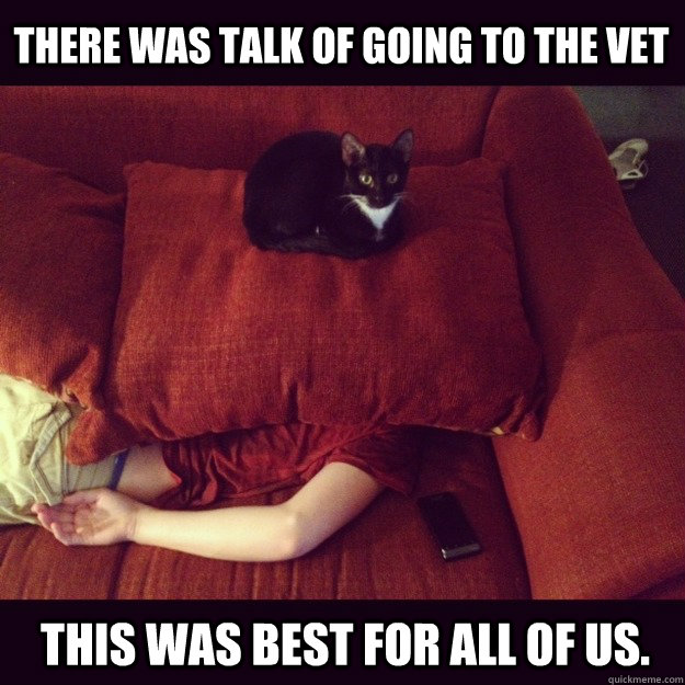 There was talk of going to the vet This was best for all of us. - There was talk of going to the vet This was best for all of us.  jealous cat