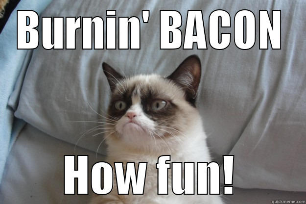 Bacon Burn - BURNIN' BACON HOW FUN! Grumpy Cat